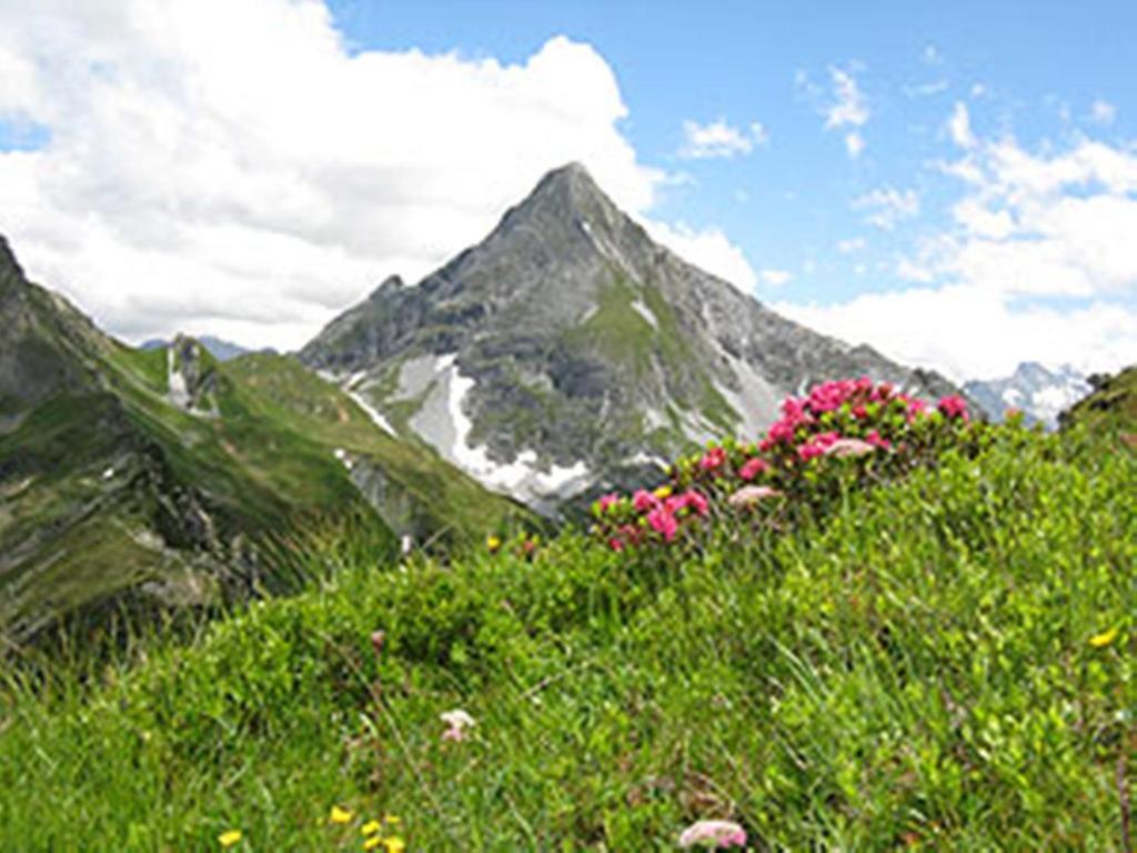 Gaestehaus Alpengruss ไมย์อาโฮเฟิน ภายนอก รูปภาพ